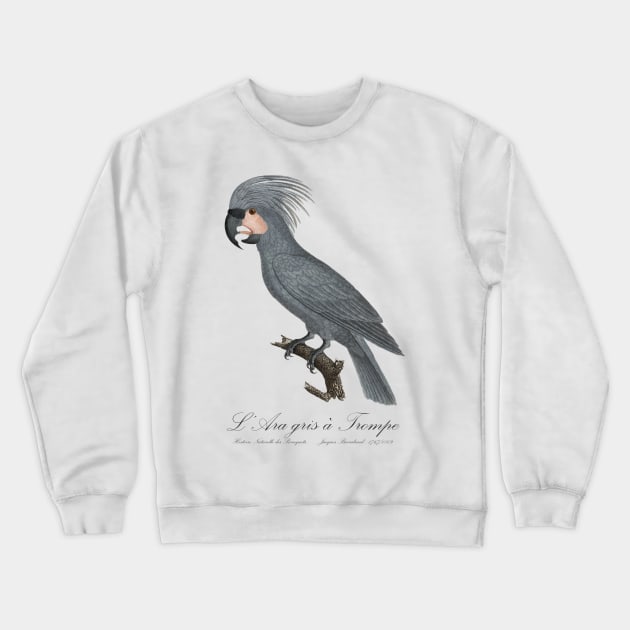 Grey Palm Cockatoo Parrot / L’Ara gris a Trompe - Jacques Barraband 19th century Illustration Crewneck Sweatshirt by SPJE Illustration Photography